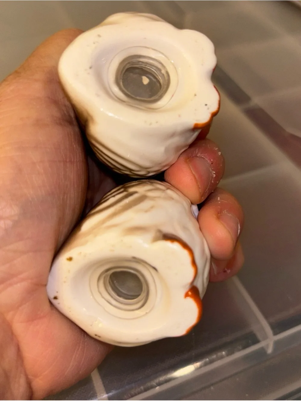 Ceramic Owl Salt and Pepper Shakers - White and Orange